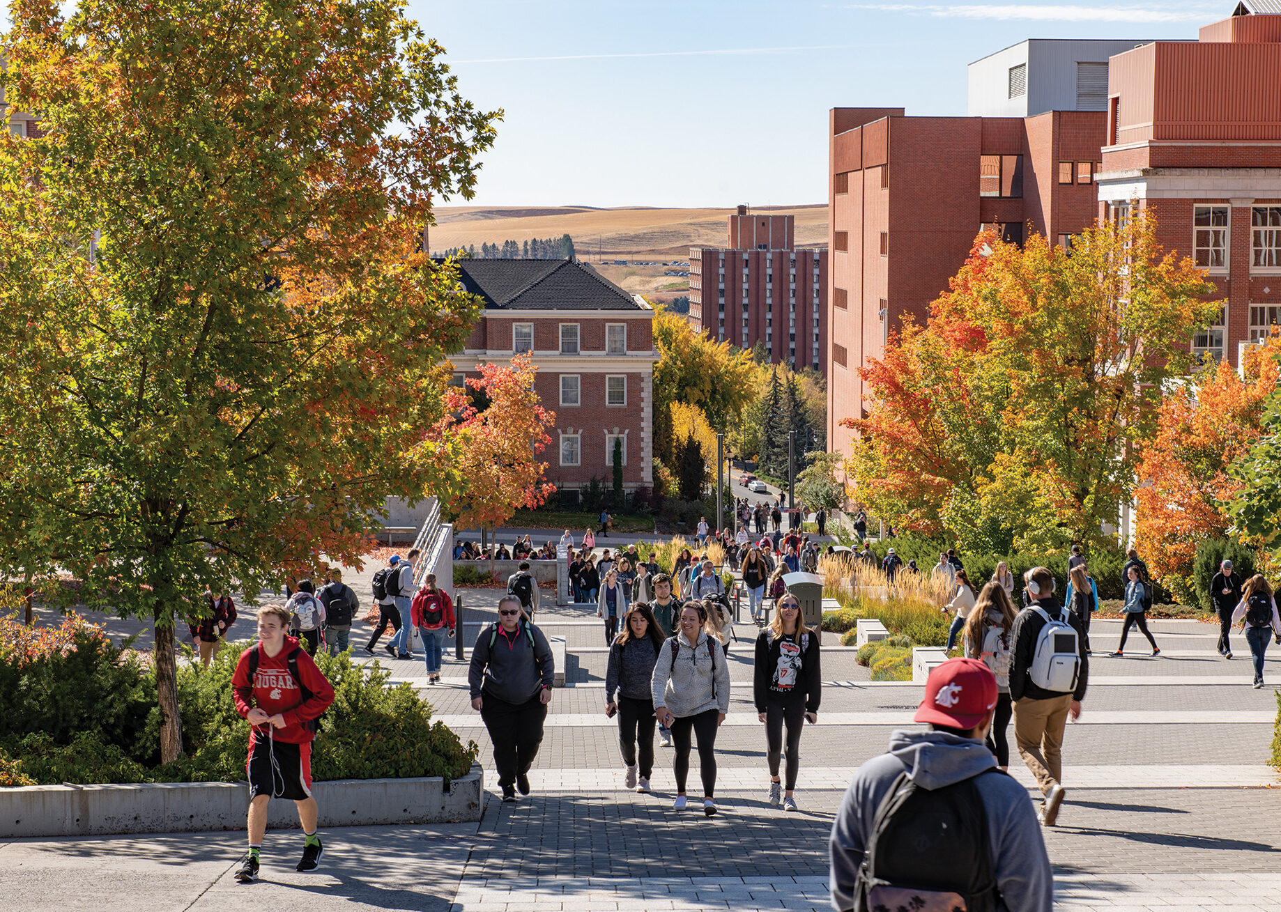 The Comprehensive Guide To Washington State University